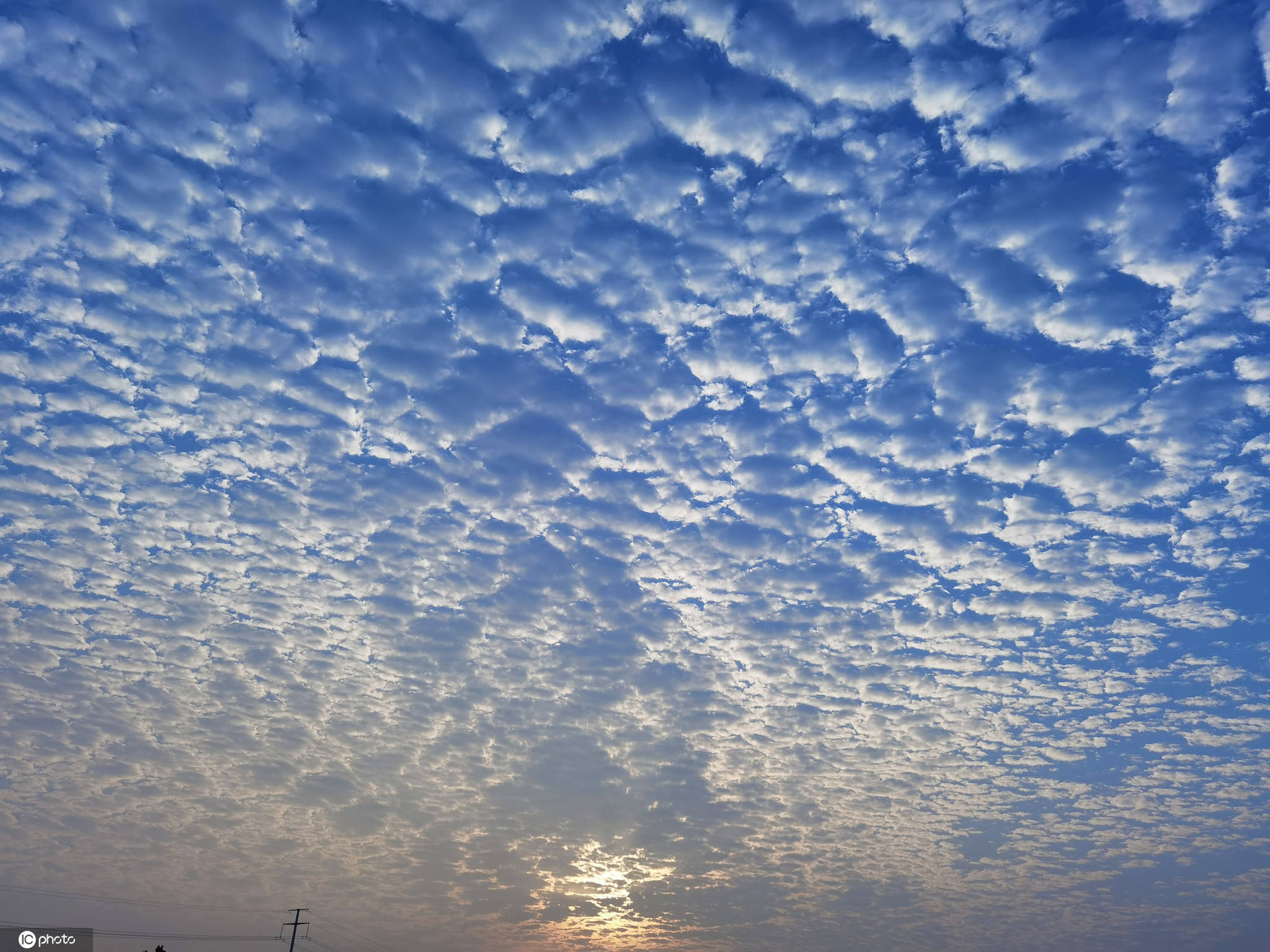 南京清晨天空出现壮观的"鱼鳞云"