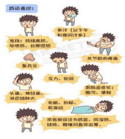 ace8deadb7174f90bd779eb74783be62.png