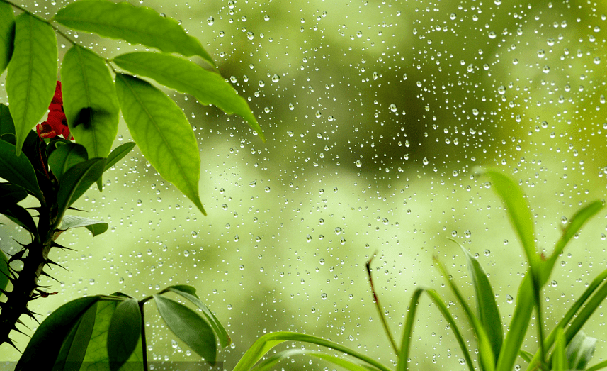 窗前听雨 || 金粉玉蝶;最美的时光