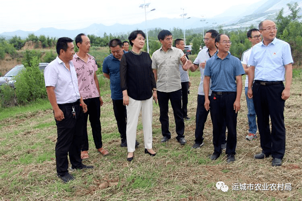 市农业农村局党组书记,局长苏丽红一行深入芮城县调研农业农村重点