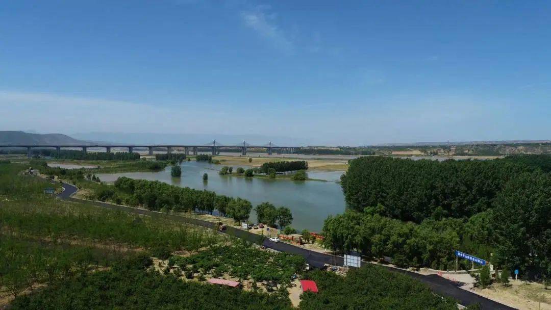 日前,黄河三门峡段百里黄河生态廊道建设项目如火如荼.