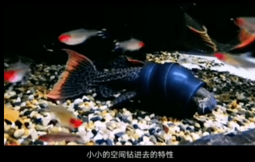 2ede4eff9523439c855f15365dfe0f53.png