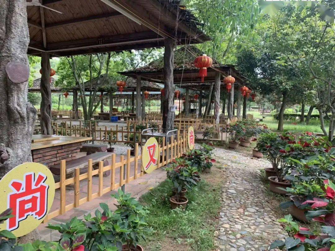 周末打卡农家乐新据点!田园风光 天然美食,火速收藏,静享一段慢时光