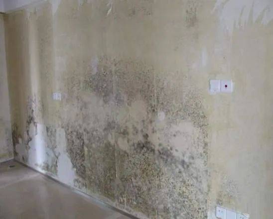 雨天|梅雨季吐槽 |乘风破浪的预报员们，梅雨天除了做预报还在干啥？