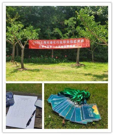 2020年电动修枝剪十_培养干部就该勤“松土施肥”常“修枝剪叶”