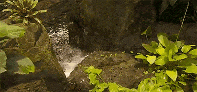 大海的潮水声 脑波音乐采用的乐器如: 适宜用作脑波音乐带古典乐曲