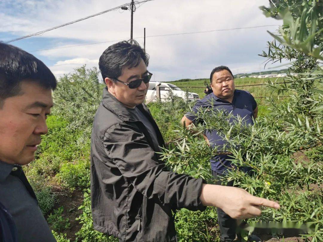 强二审:敖宝峰终审:刘金柱转载请注明出处 呼伦贝尔莫旗发布返回搜狐