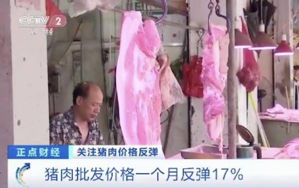 反弹|猪肉一公斤涨近7元，接下来怎么走？