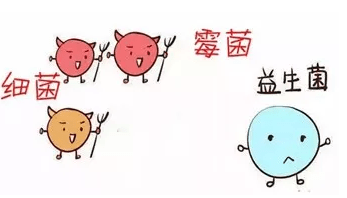 白带增多,呈凝乳状或豆腐渣样是外阴阴道念珠菌病(外阴阴道假丝酵母菌