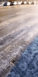 搞笑GIF:大家来向我们的新帮主问好