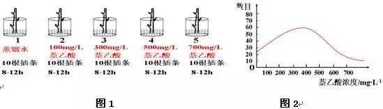 十四,探究生长素类似物促进插条生根的最适浓度