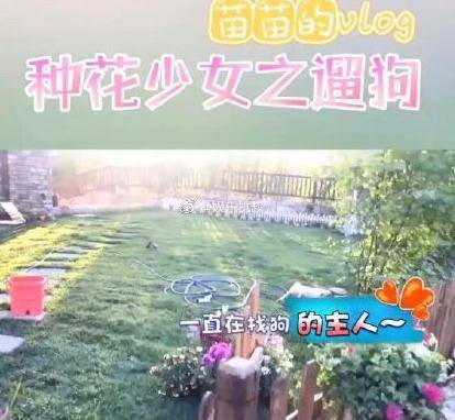 苗苗晒孕期视频,身材依旧纤瘦,新婚豪宅曝光