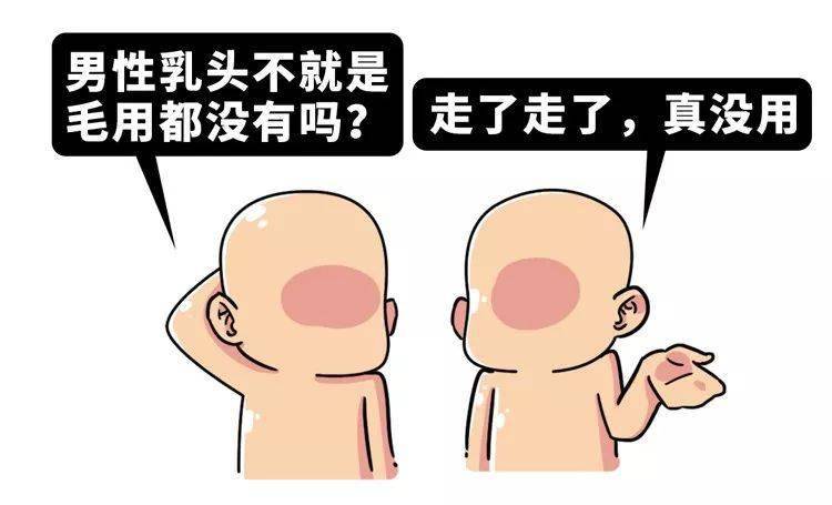 男性的乳头到底有什么用?