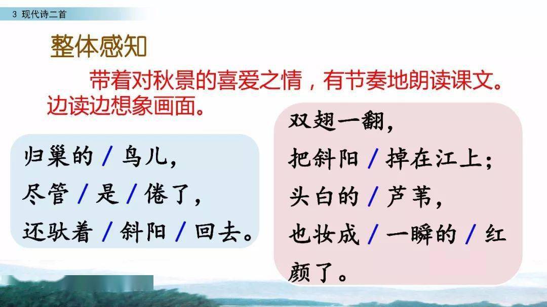 小麻雀教案教学反思_小班教案及教学反思_教案中的教学反思怎么写