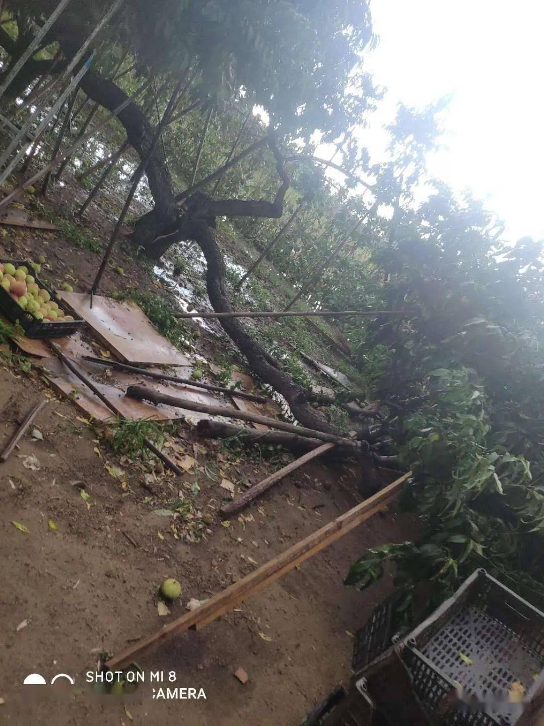 定兴一场狂风暴雨,107国道九汲遭受灾害.