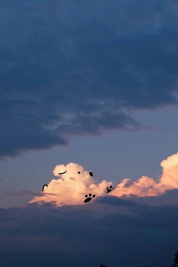 云朵狗狗难过的时候,天空会下雨吗?