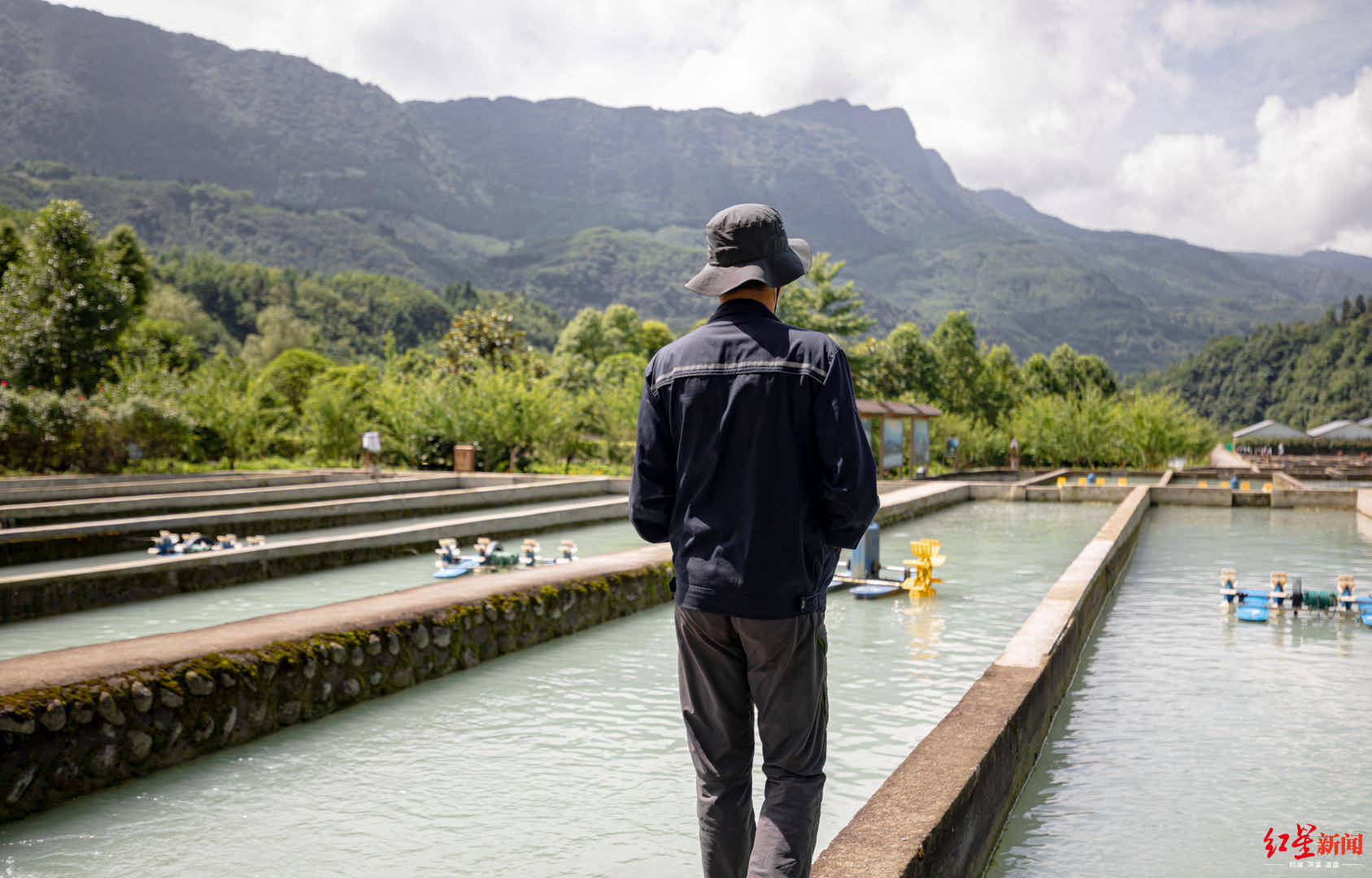 养殖业|“三文鱼效应”下的虹鳟养殖场：大鱼出不了塘，小鱼换不了“房”