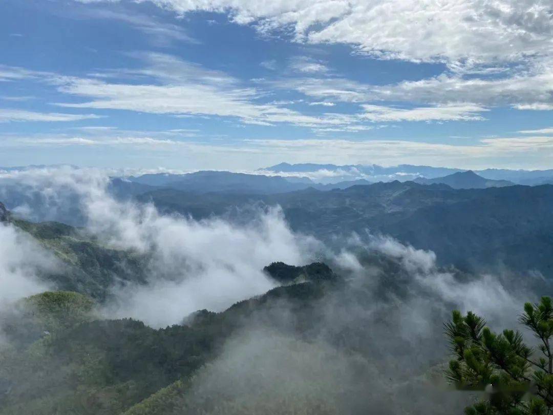 沧海桑田是什么成语_不过是沧海桑田图片(2)