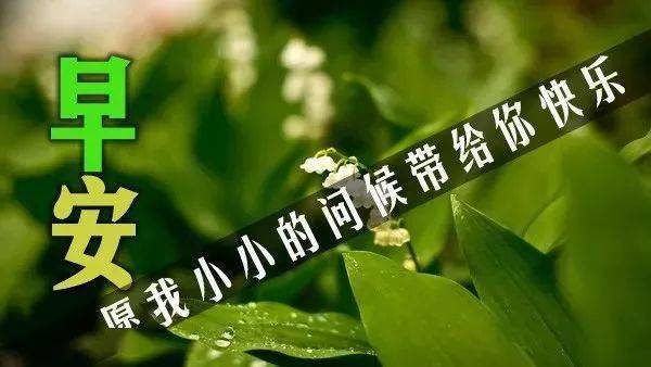 夏季天热的清晨早上好问候语祝福图片大全,微信群发早晨好问候亲友