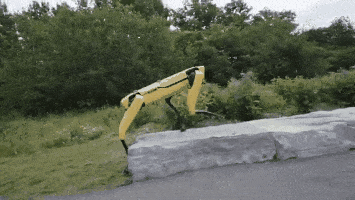 看着眼前的大石头,spot 一秒钟倒地