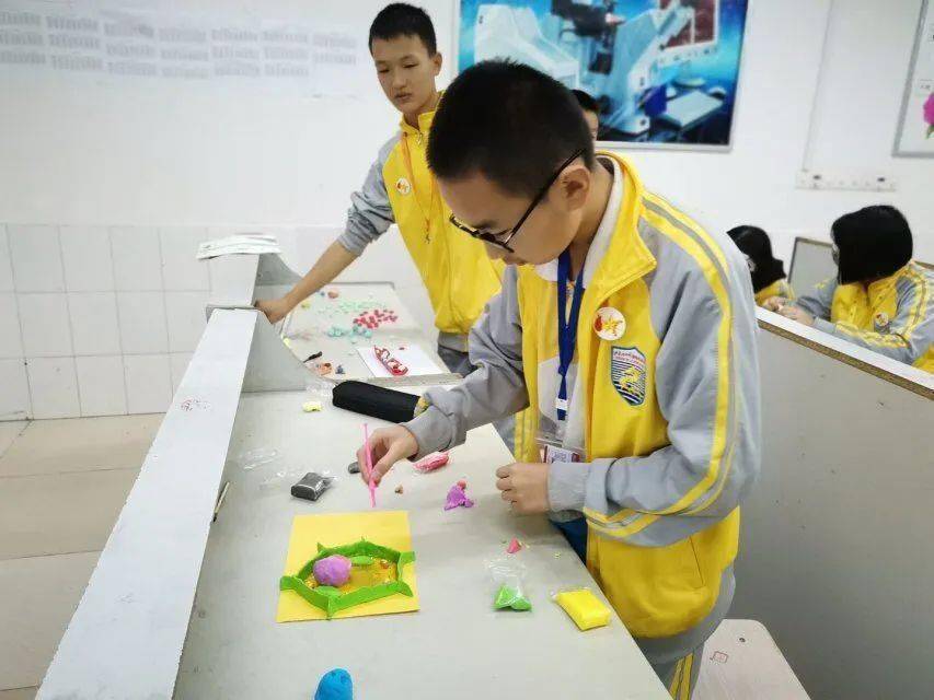 制作细胞生物模型,把生物结构与生理活动过程用橡皮泥展现出层次关系.