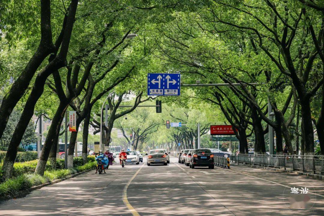 长春路起于望京路,连接灵桥路,全长2200米.