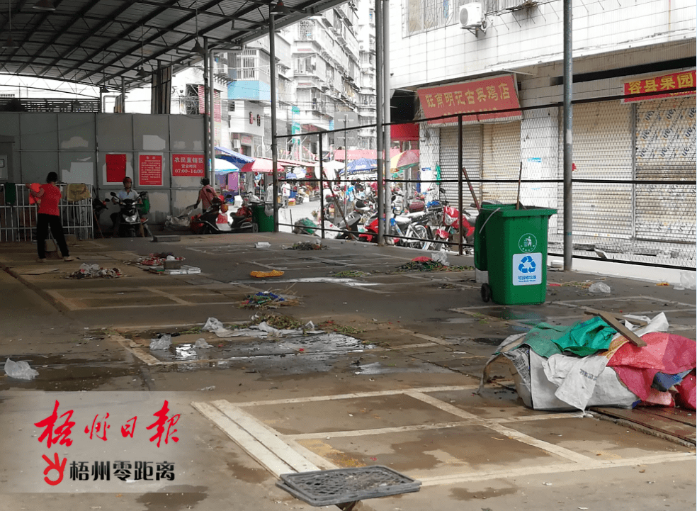 破坏绿化!占道经营!狠狠曝光这些影响梧州城市面貌的不文明现象
