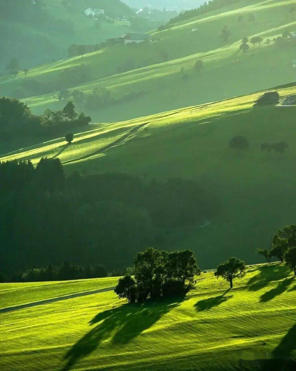 深度|深度调查:30年3000多高考状元……