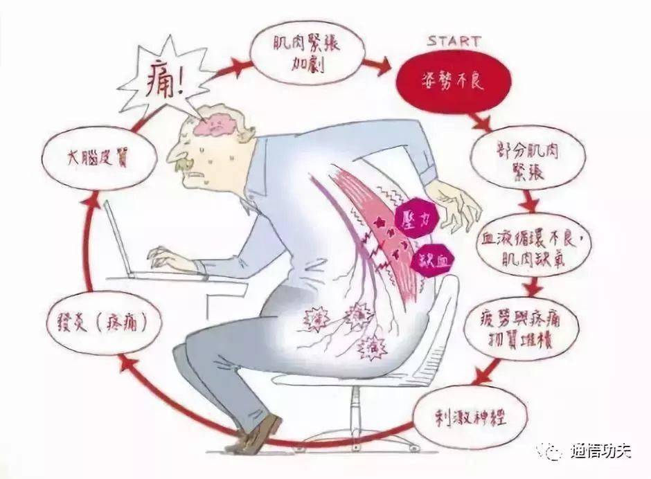 腰痛?内功强腹壮腰功,可解君忧!