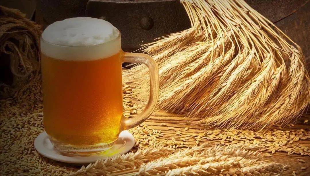 精酿啤酒的基本原料只有四种 麦芽,啤酒花,酵母,水 酿造过程零添加