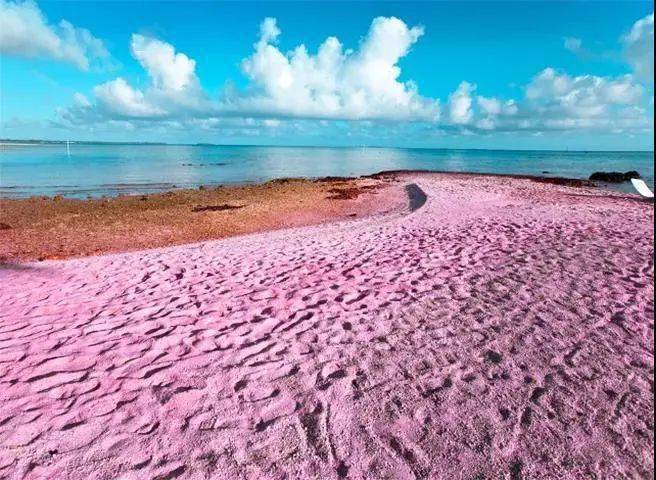 粉色沙滩,浪漫天堂 世界上最性感的海滩 莫过于巴哈马群岛的粉色沙滩