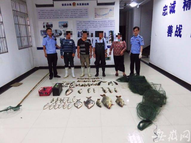 工作|[网连中国]十年禁捕，沿岸9省份“出招”共护长江水