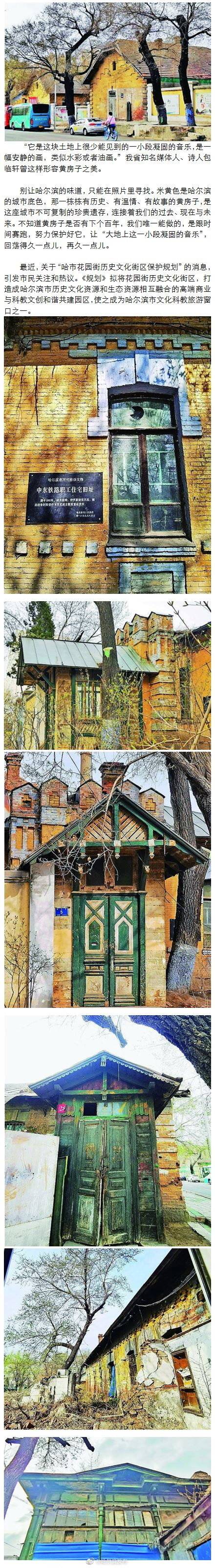 黄房子|黄房子：哈尔滨记忆底色