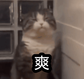 这表情都快扭曲了 哈哈哈哈 猫:没想到本喵有一天也会被拉屎难住