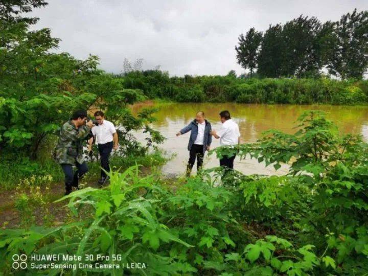 水位|杭州发布洪水黄色预警，洪峰将于明早6点左右到达闸口站