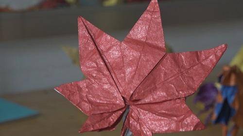 刘煜坤|烟台莱州：折纸少年刘煜坤