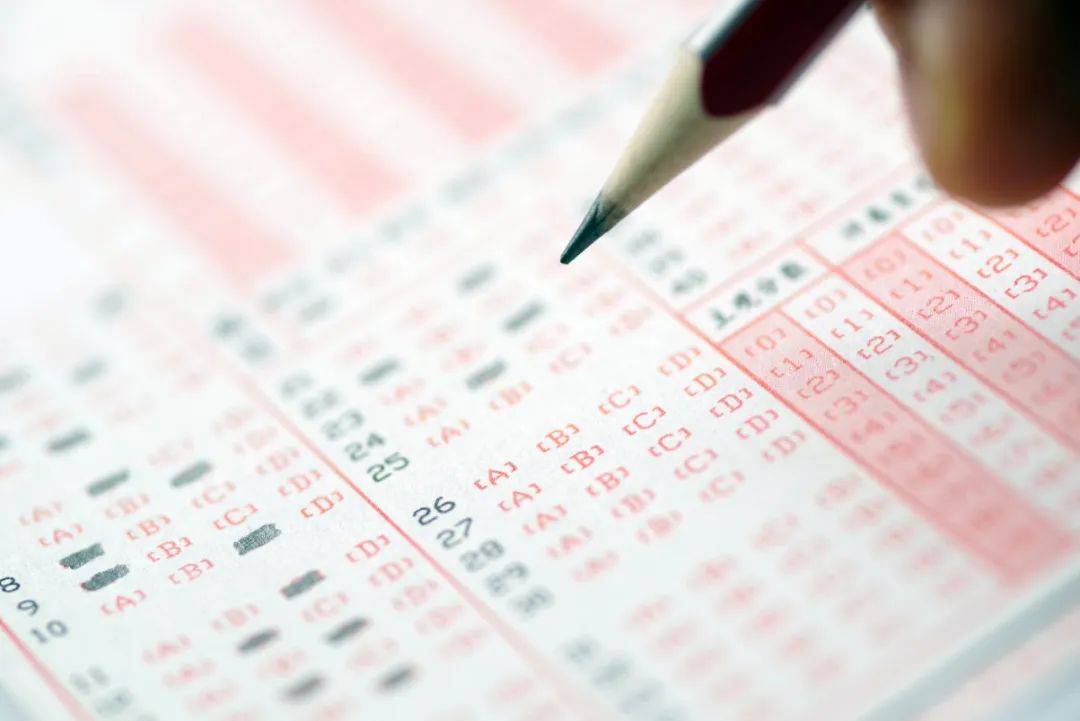 高校|教育部重磅发布！全国最新高校名单来了，看准了→