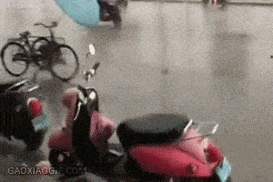 精选搞笑GIF:皇上你的龙轿呢?