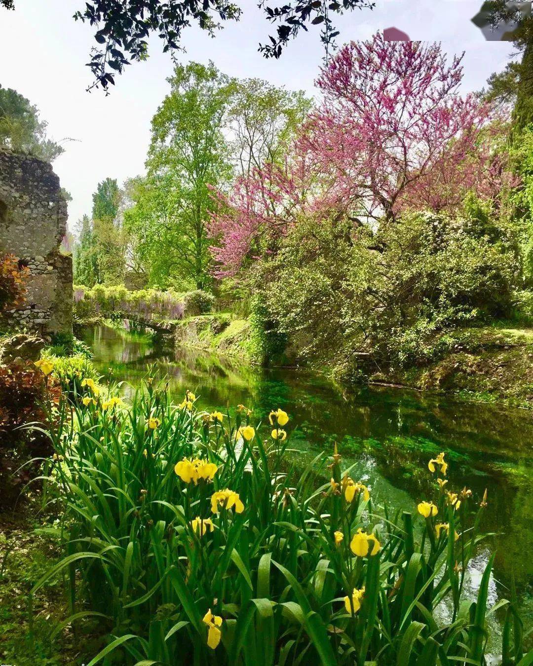 01 地点 拍摄地是在意大利罗马南边的宁芙花园(giardino di ninfa).