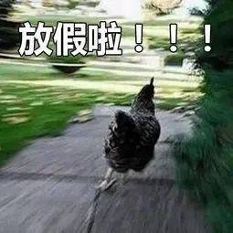 官宣|官宣！最新放假通知！