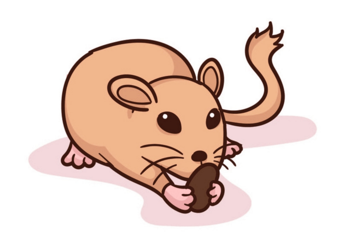 901d0de2119c45d8bd895ac584aeea74.png