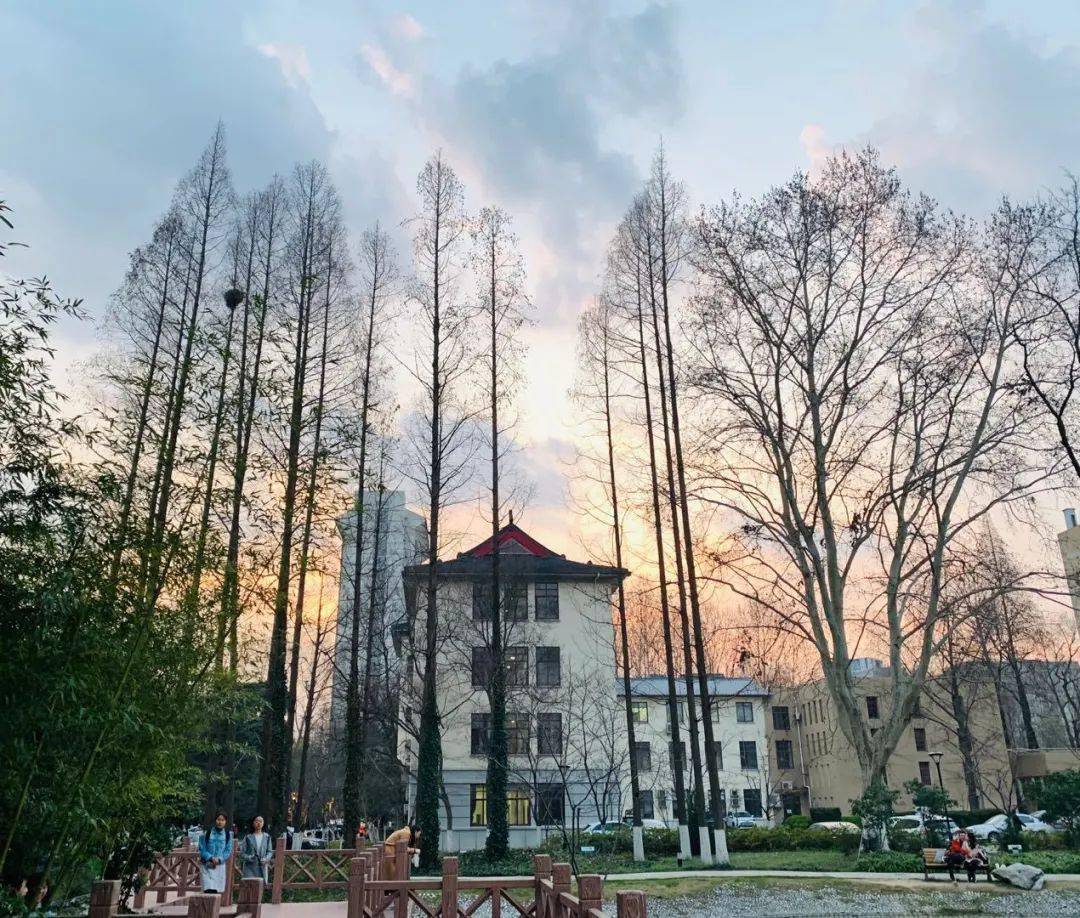 南林特|每日一杯夏日限定,林间韵味你get到了吗?