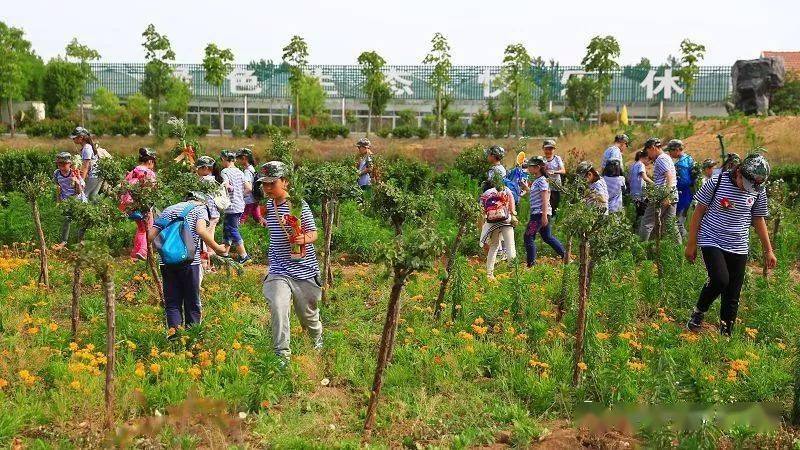 农事体验夏令营我在乡下有块田快乐小农夫3日营