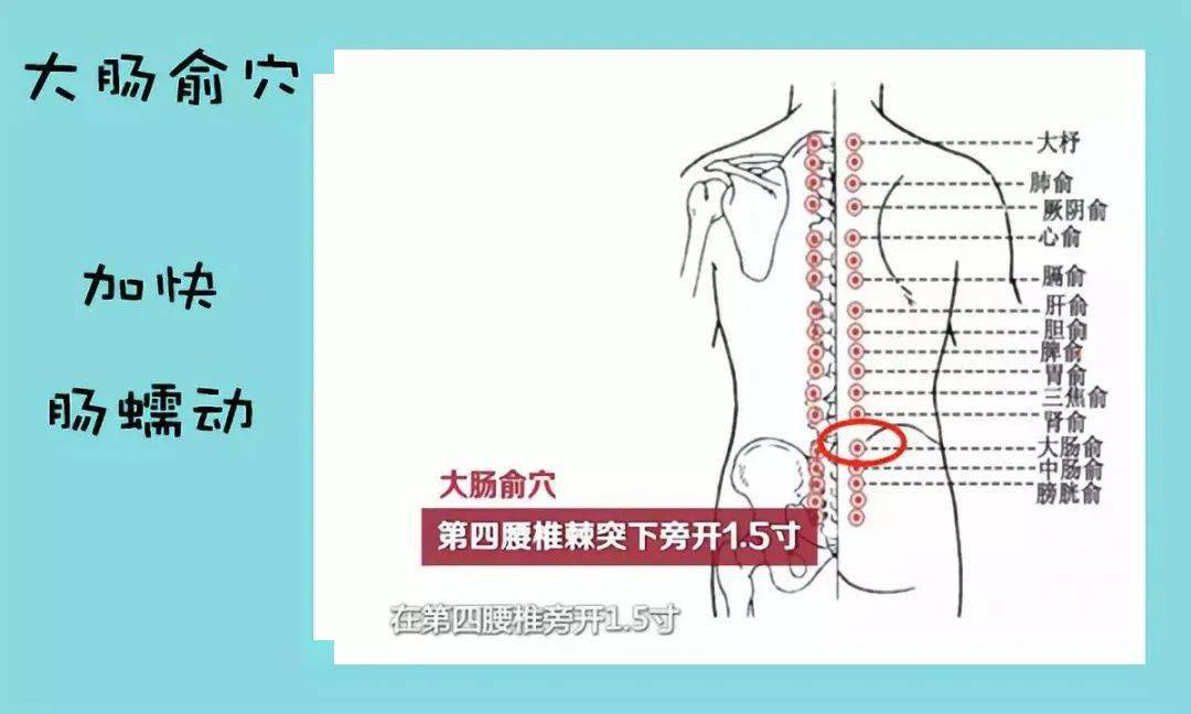 3,大肠俞