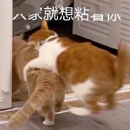 人口表情包_失踪人口表情包(3)