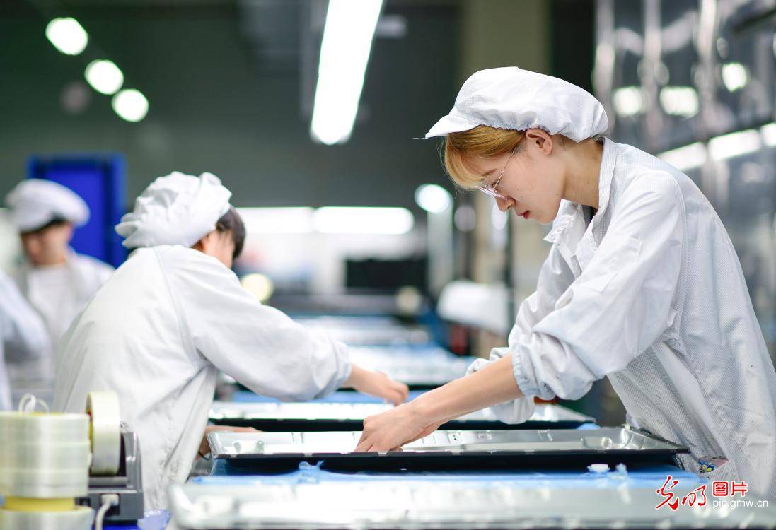 服务|“云端”架桥助学子就业