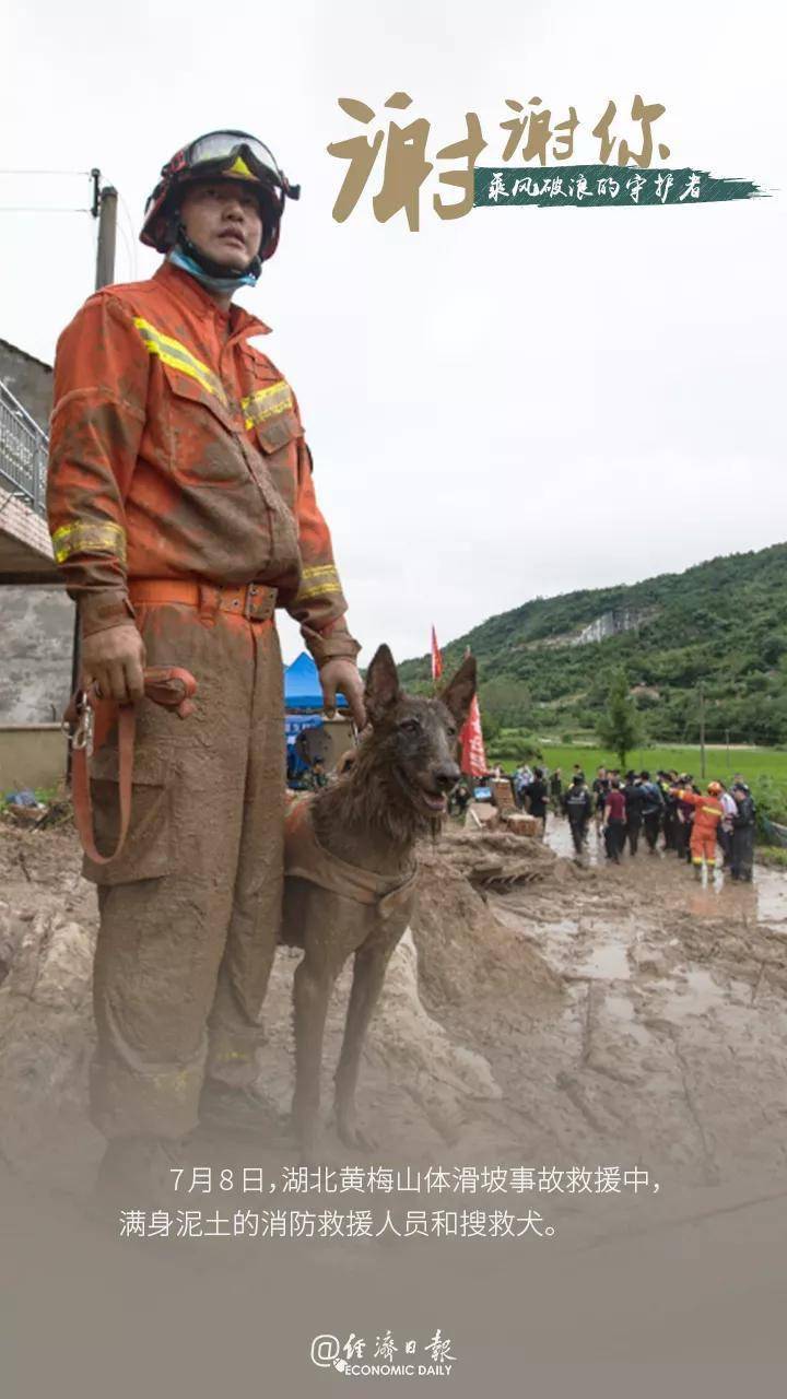 陶天添|谢谢你，乘风破浪的守护者！