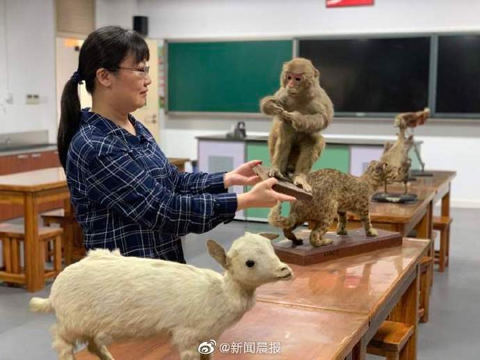 特级|标本师上门“整容手术”即刻安排！102岁特级老师再也不用为60岁的TA们操心了……