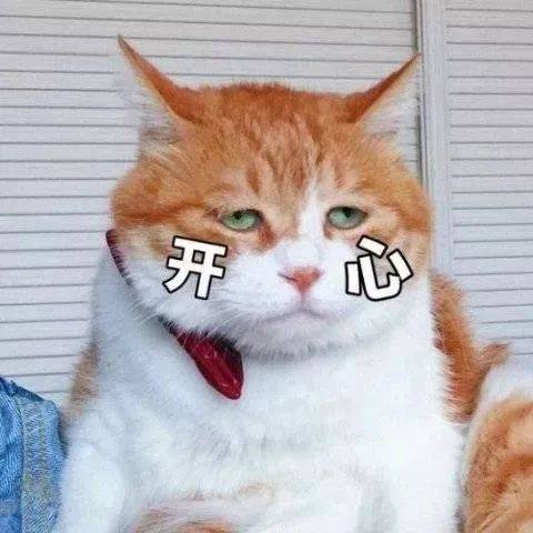 工作|放 假 通 知 ！