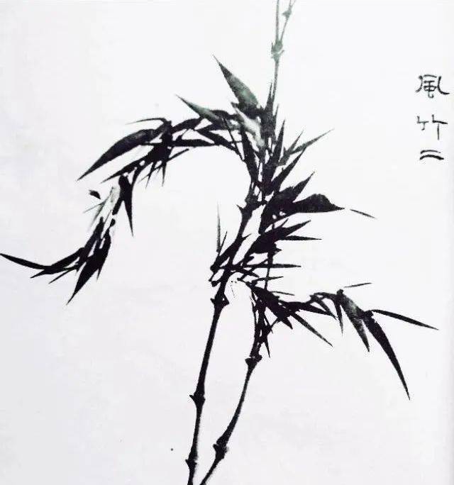 一本优秀的竹谱,送给您!_申石伽